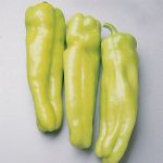 Pepper, Green, Fryer